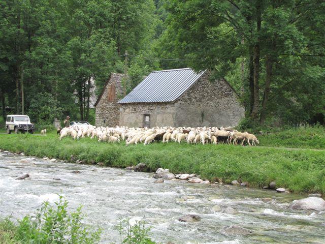 Auberge Les Myrtilles Couflens Екстериор снимка